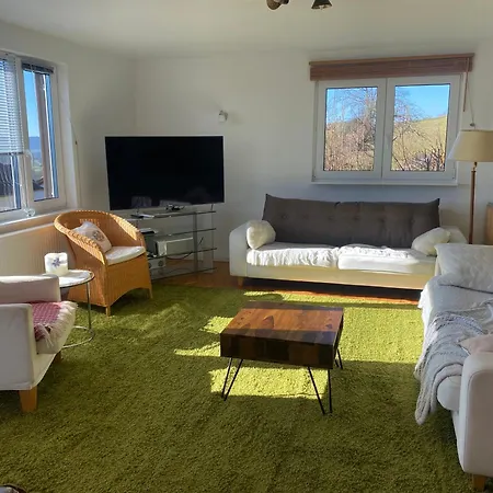 Alpenpanorama Am Hochrhein *