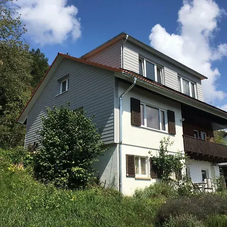 Alpenpanorama Am Hochrhein *