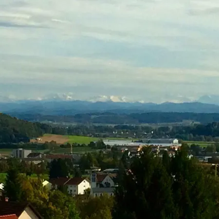 Alpenpanorama Am Hochrhein * ガイリンゲン
